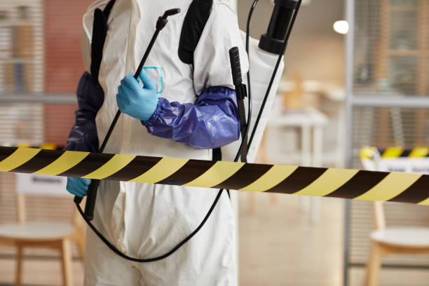 Professional Sewage Cleanup technician working in Marblemount, WA